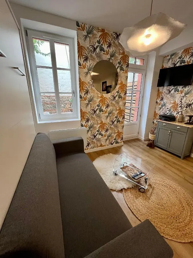 Casa Nostra - T1 - Terrasse Privative Apartment Toulouse 0*,