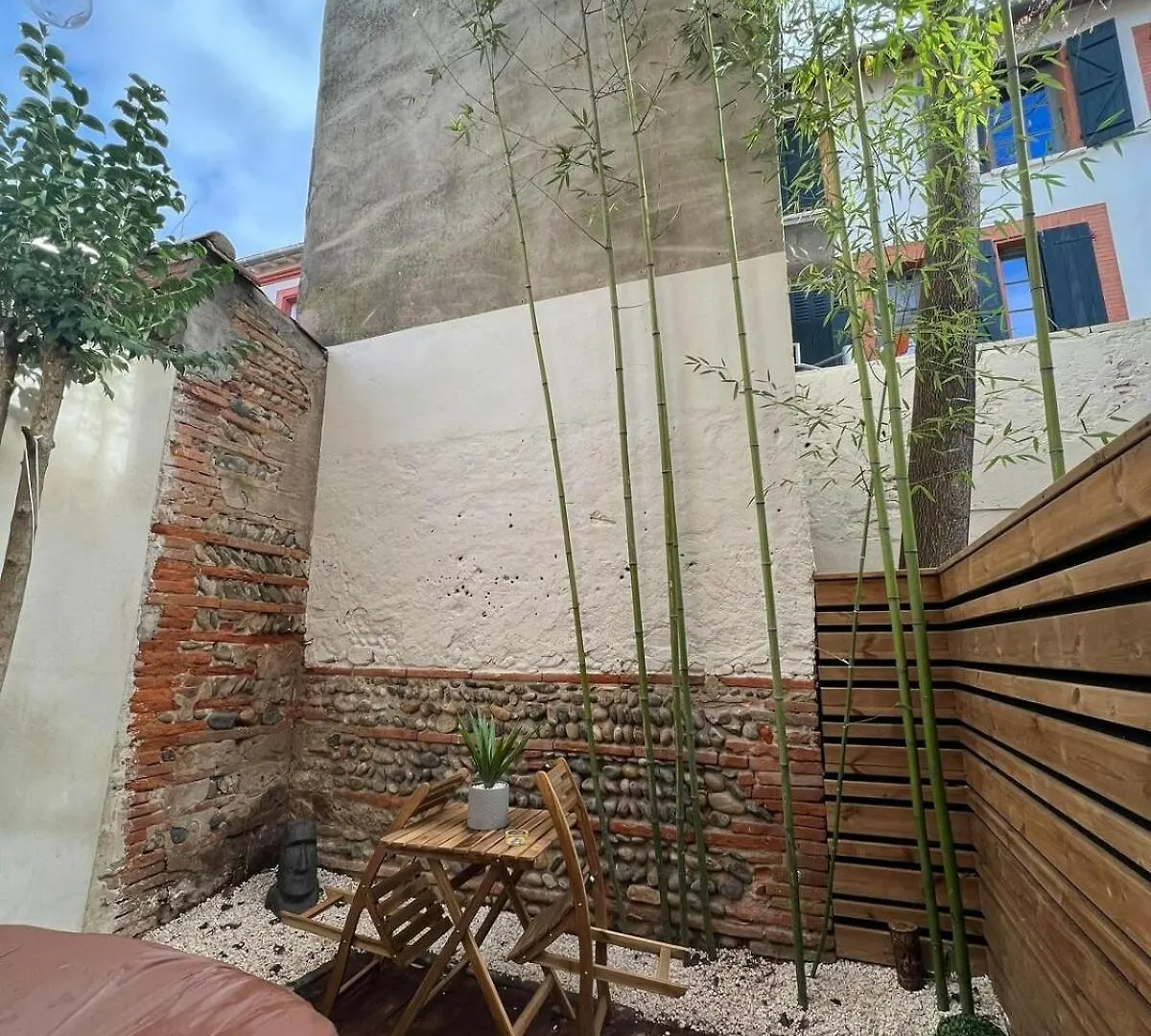 Casa Nostra - T1 - Terrasse Privative Apartment Toulouse 0*,  France